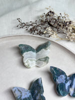 Papillon | Agate Mousse