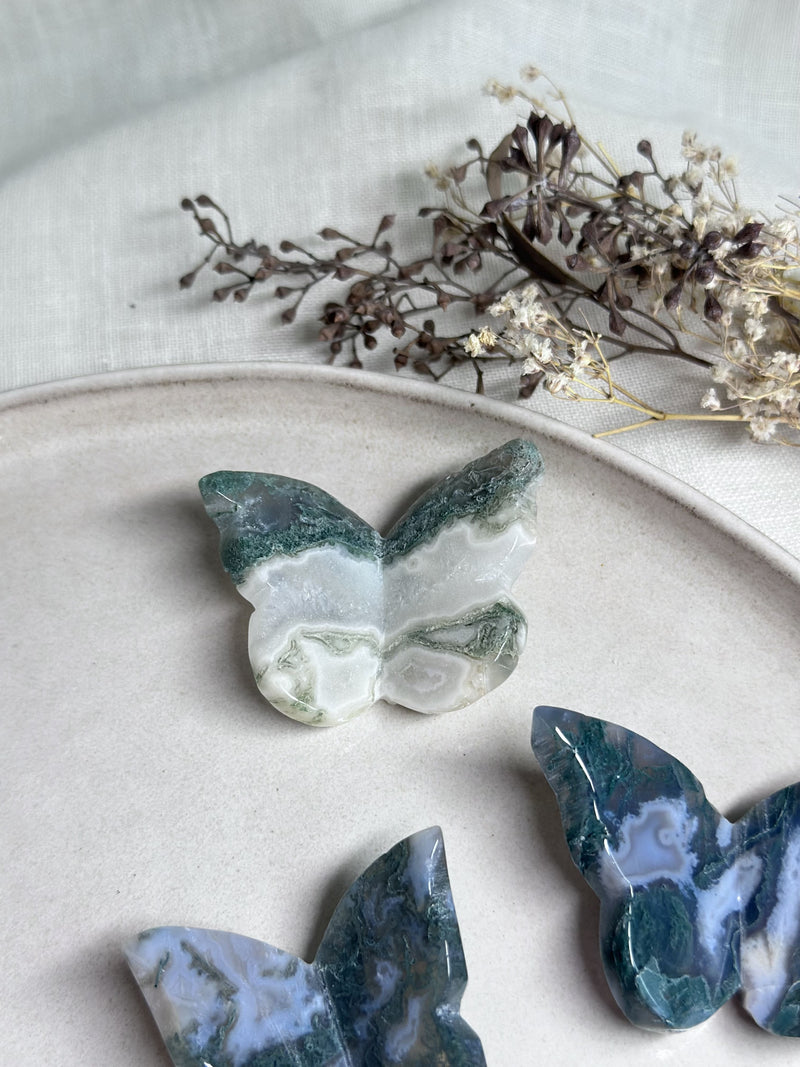 Papillon | Agate Mousse