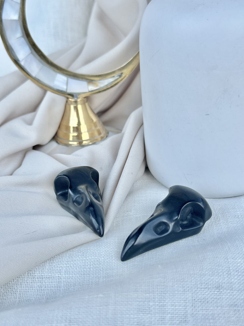Crâne oiseau  | Obsidienne