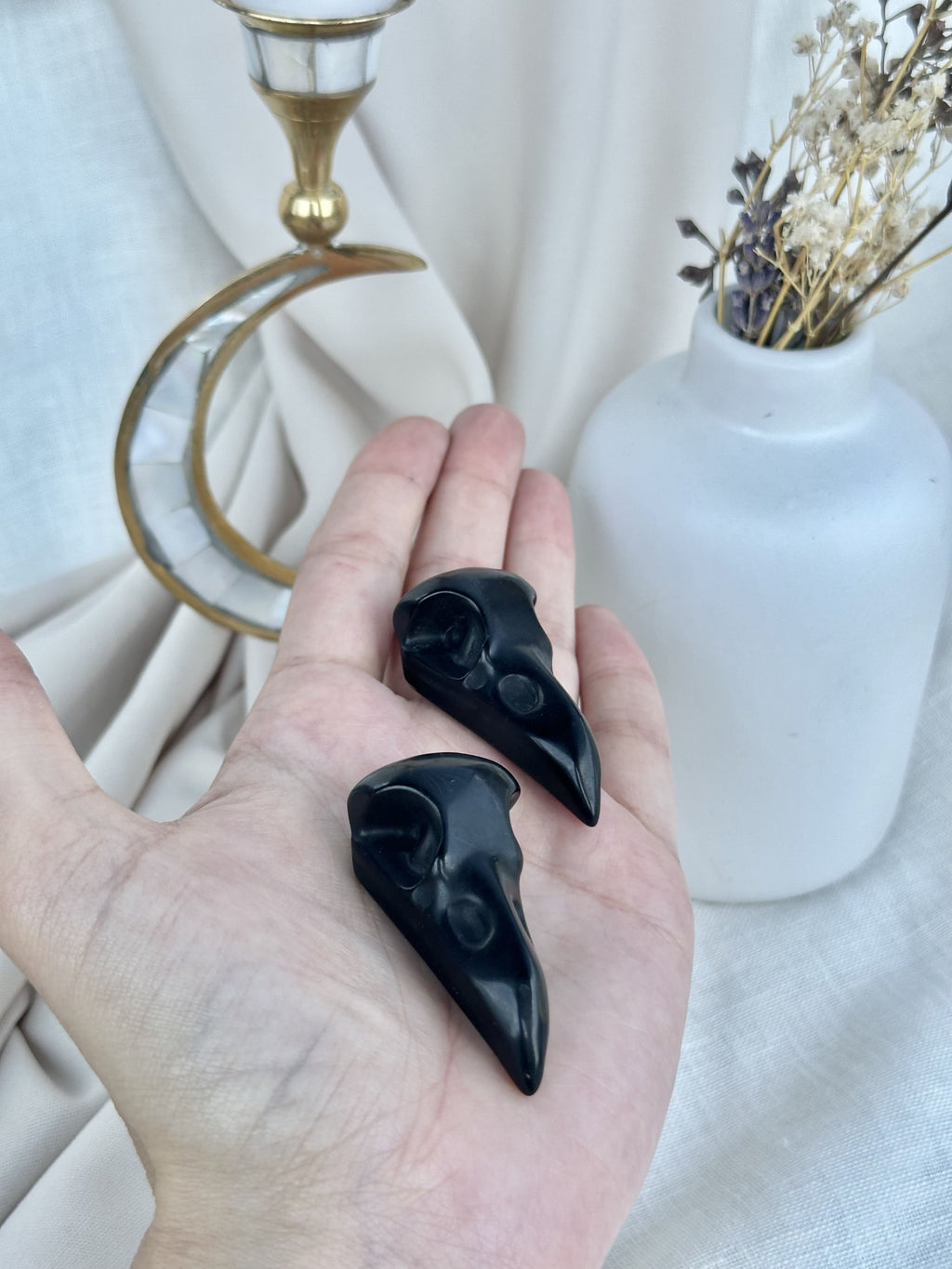 Crâne oiseau  | Obsidienne