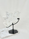 Colombe | Agate plume