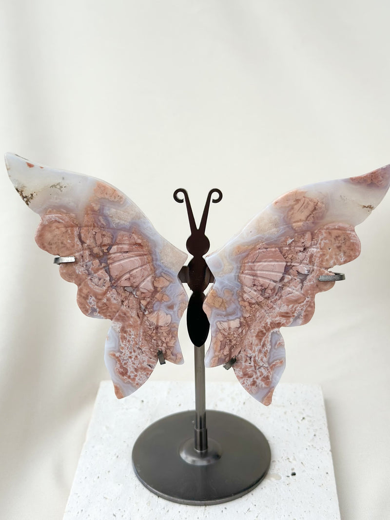 Papillon | Agate Cotton Candy