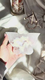 Papillon | Agate