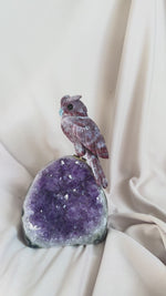Cluster | Améthyste | Hibou jaspe rouge