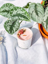 Chandelle | Gardénia |  Quartz Rose Aura